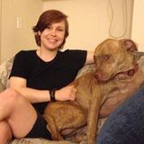 Experienced pet sitter and genuine animal lover who believes spending time with dogs is just as important as daily walks.
