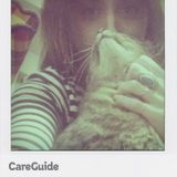Cat sitting in Astoria, LIC, Manhattan