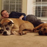 Hello My name is Matt Schultz and I am looking to provide any care you might need for your pets.