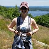 Searching for a Pet Carer Opportunity in Villanova