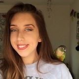 Professional Pet Sitter for Your Home