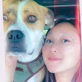 Trustworthy Dog Sitter Available Immediately