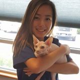 Available: Fun and Experienced Pet Sitter for Your Best Friend in Walnut Creek, California
