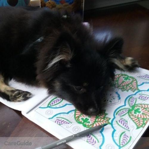 Pet Care Provider Maggie Z's Profile Picture
