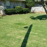 Vail Landscaping
