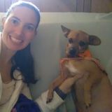 I have a dog so I have experience!
