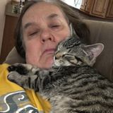 Animal lover would love to spoil your pets