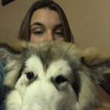 Bath, NY House Sitting Service Provider Looking For Work