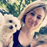 Walnut Creek House and Pet Sitter Seeking Job Opportunities