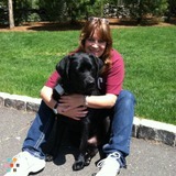 Comforts of Home Pet Sitting
