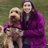 Pet Sitter Available For Work