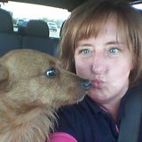 Interviewing For Myrtle Beach Dog Walker Jobs, animal sitting,