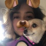 Consistent Pet Service Provider in Palmdale, California and Lancaster ca