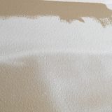 Interior Exterior Painting