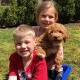 Part-time Nanny for two lovely kids