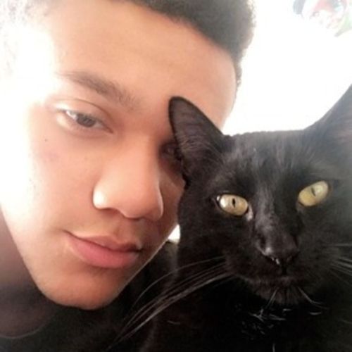Pet Care Provider Deaven M's Profile Picture
