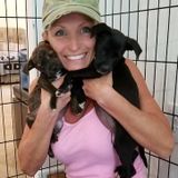 Professional pet sitter.