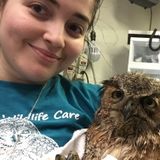 Local and flexible pet sitter