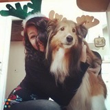Qualified and Dependable Pet SitterAvailable Immediately