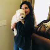 Passionate Pet Care Provider in Flagstaff
