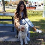 Wasaga Beach and Collingwoog, Ontario Petsitter