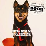 Professional pet Sitting services