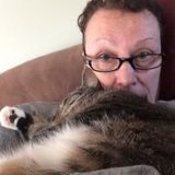 Love to care for your cat or dog while you enjoy a evening out, go to work or vacation call Phyllis