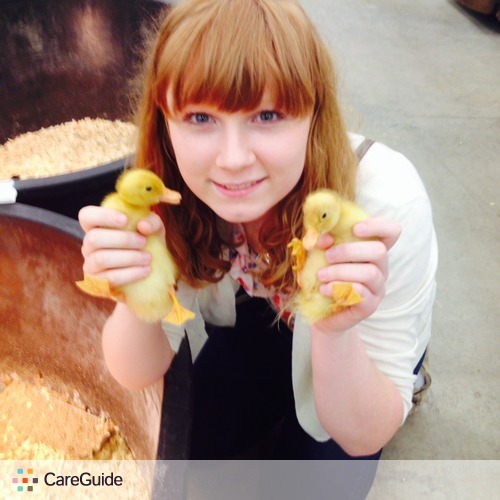 Pet Care Provider Courtney V's Profile Picture