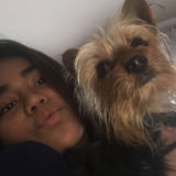 Animal Lover Seeking Work in Connecticut