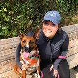 I love working with Animals!