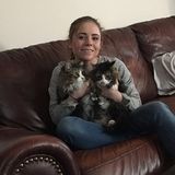 Available For Tooele Home Sitter Opportunity