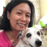 Experienced Dog Walker/Sitter in Irvine