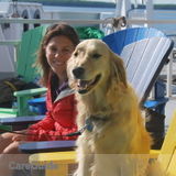Energetic and Experienced Pet Sitter