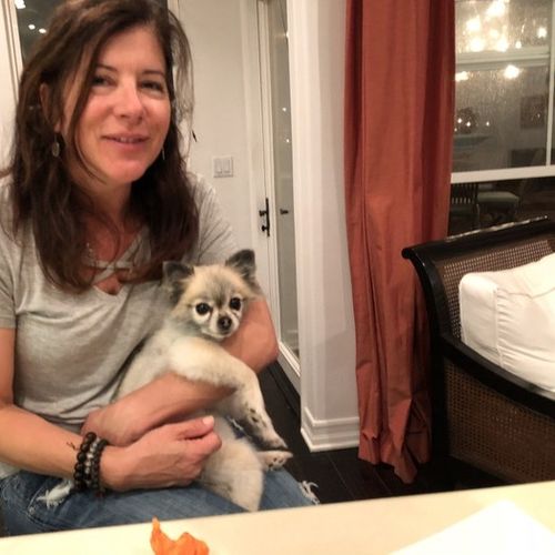 Pet Care Provider Prudence S's Profile Picture