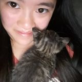 Cat and dog lover! College graduate student with a love for animals looking to help! Reliable, responsible, and loving.