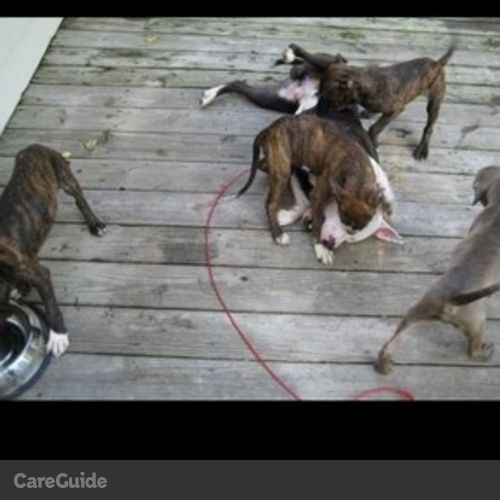 Pet Care Provider Brian L's Profile Picture