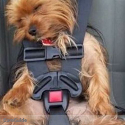 Pet Care Job Jackie D's Profile Picture
