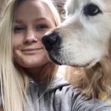 Interviewing For a Dog Sitter Job in Bellingham, Washington