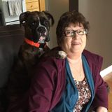 Polite Home Sitter Available Immediately