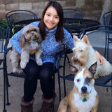 Dog walking