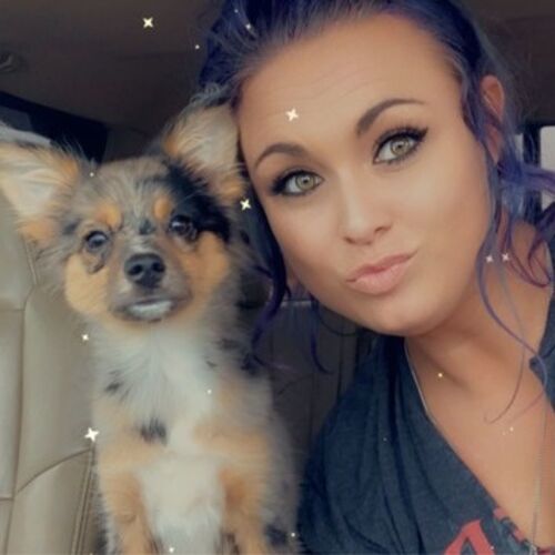 Pet Care Provider 's Profile Picture