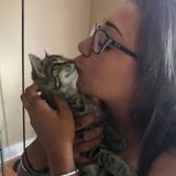 Skillful Pet Care Provider Available