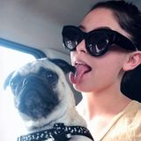 Lover of all animals!
