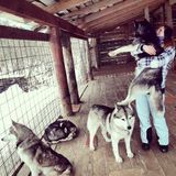 Interviewing For a Pet Care Provider Job in Rancho Cucamonga, California