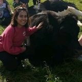 Searching for Munster Animal Lover Jobs