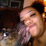 Capable Dog Sitter for Hire