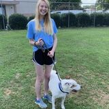 Looking to give love and find new opportunities!