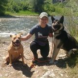 I am an experienced animal caretaker seeking animal care and pet sitting jobs in Great Falls, MT or surrounding areas.
