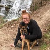 Happiness is walking a dog or two.