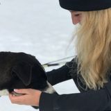 Dog Walker And Pet Sitter